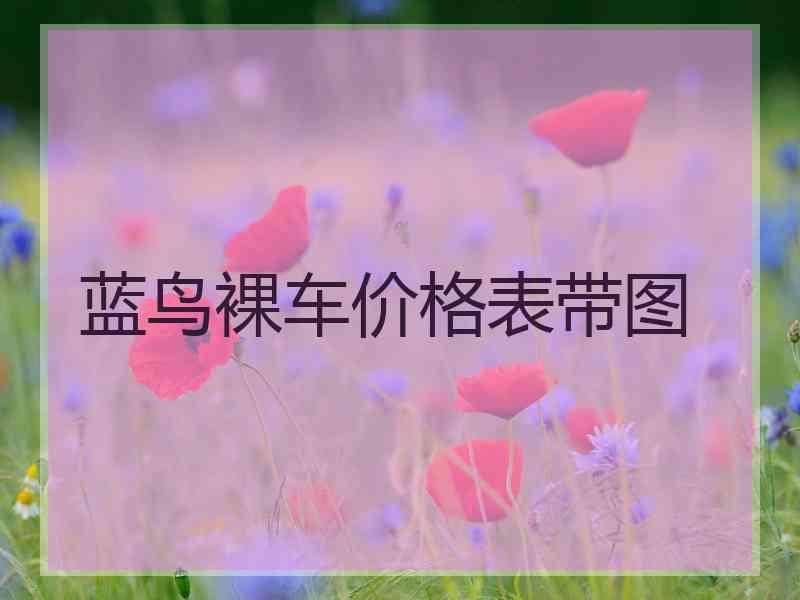 蓝鸟裸车价格表带图