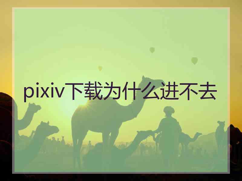 pixiv下载为什么进不去