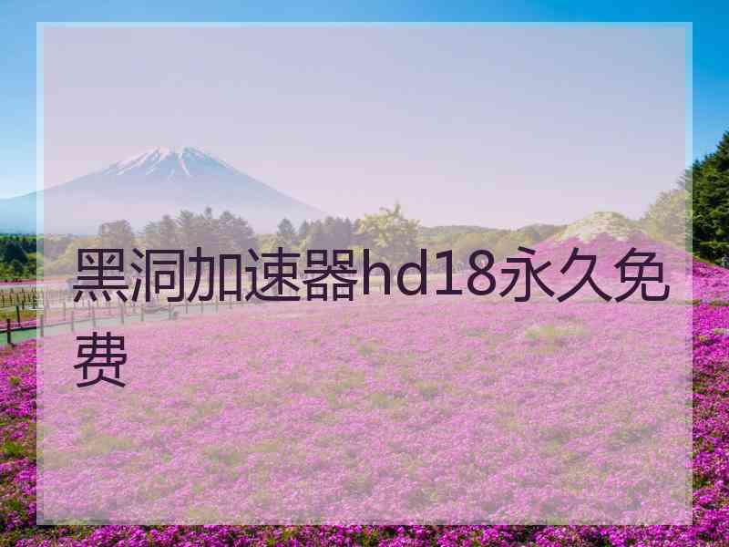 黑洞加速器hd18永久免费