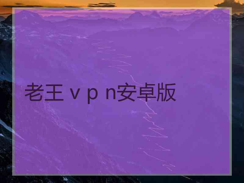 老王 v p n安卓版