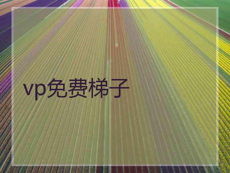 vp免费梯子