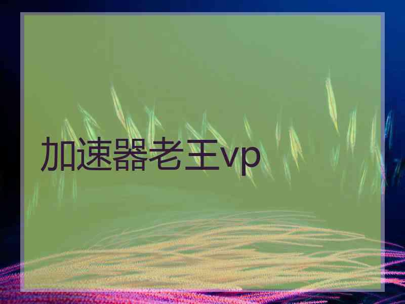 加速器老王vp