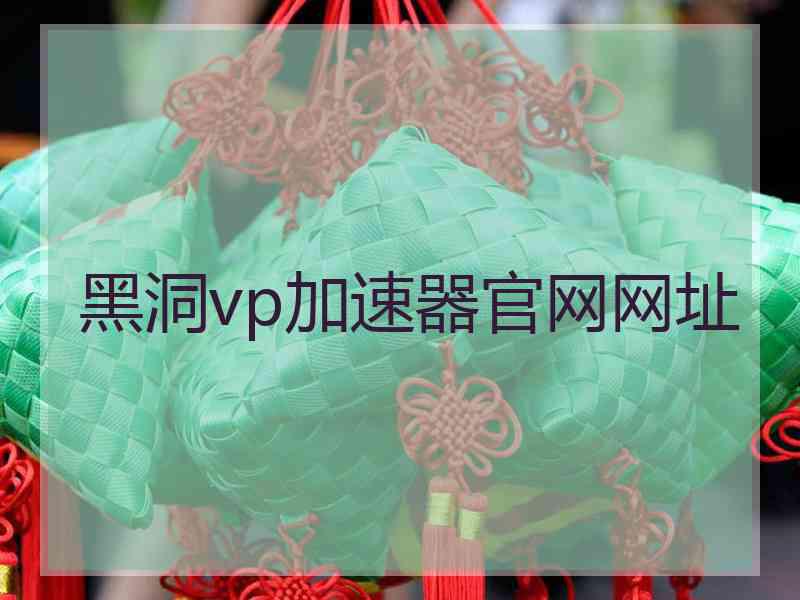 黑洞vp加速器官网网址