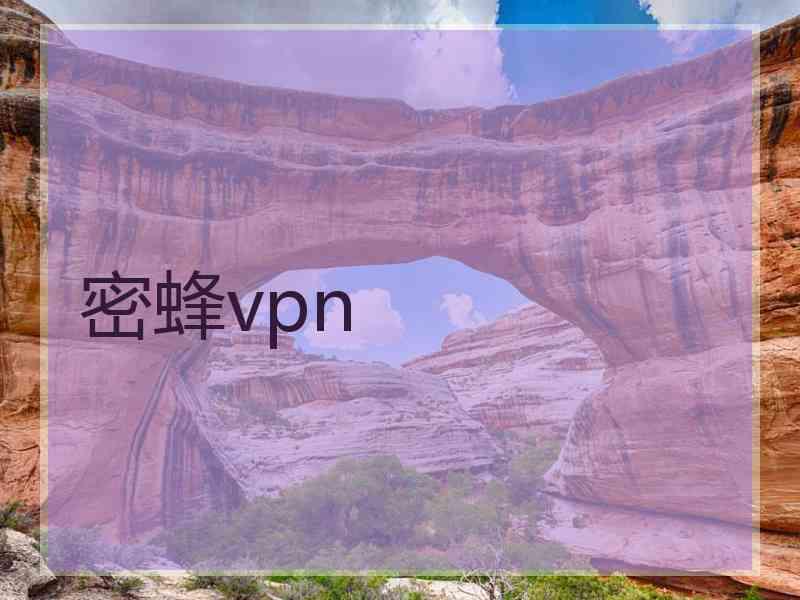 密蜂vpn