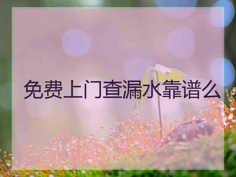 免费上门查漏水靠谱么