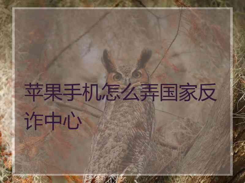 苹果手机怎么弄国家反诈中心