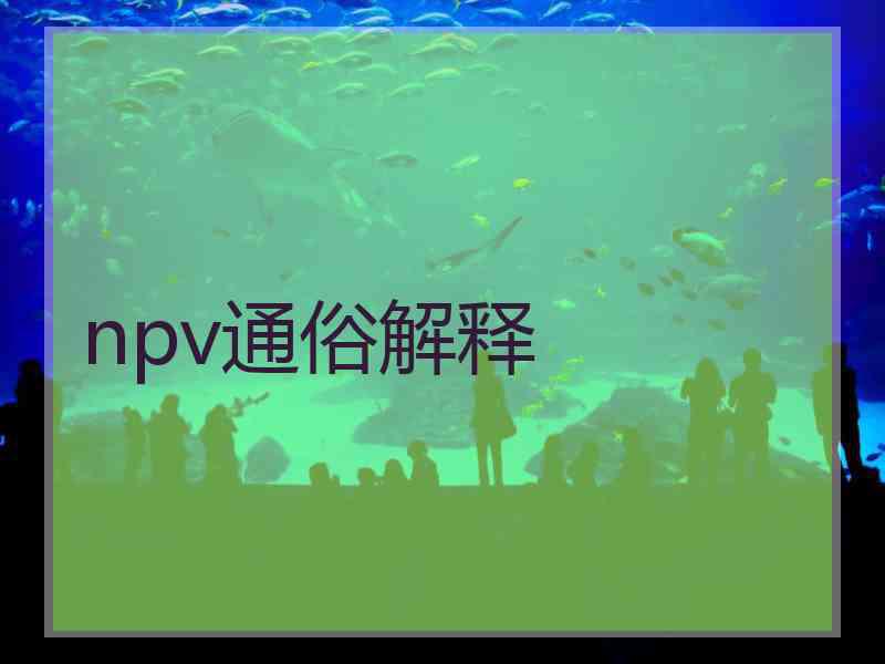 npv通俗解释