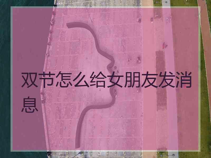 双节怎么给女朋友发消息