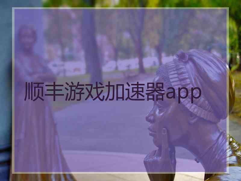 顺丰游戏加速器app