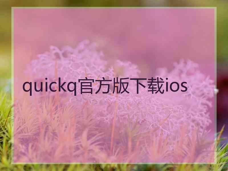 quickq官方版下载ios