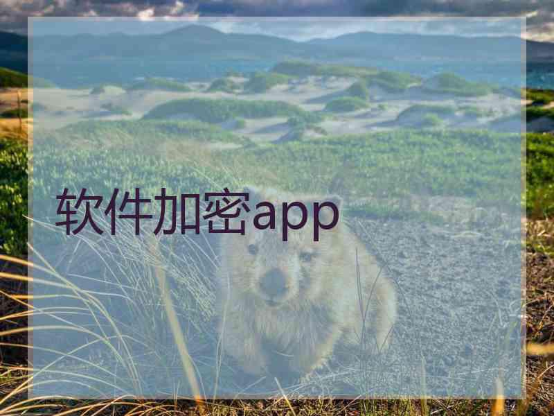 软件加密app