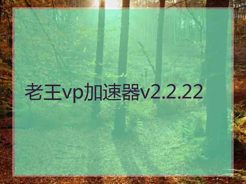 老王vp加速器v2.2.22