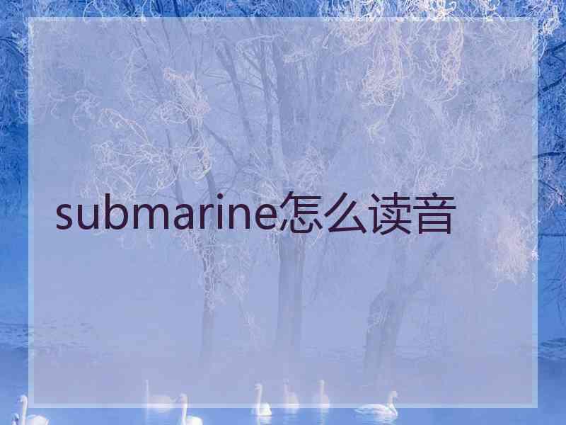 submarine怎么读音