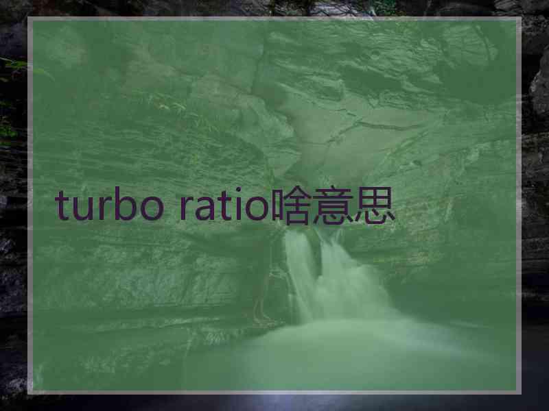 turbo ratio啥意思