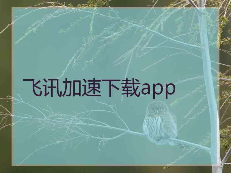 飞讯加速下载app