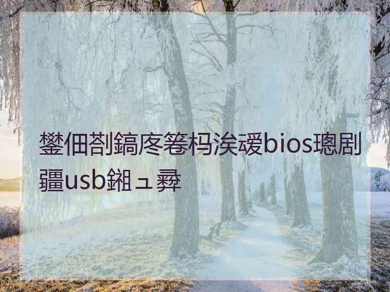 鐢佃剳鎬庝箞杩涘叆bios璁剧疆usb鎺ュ彛