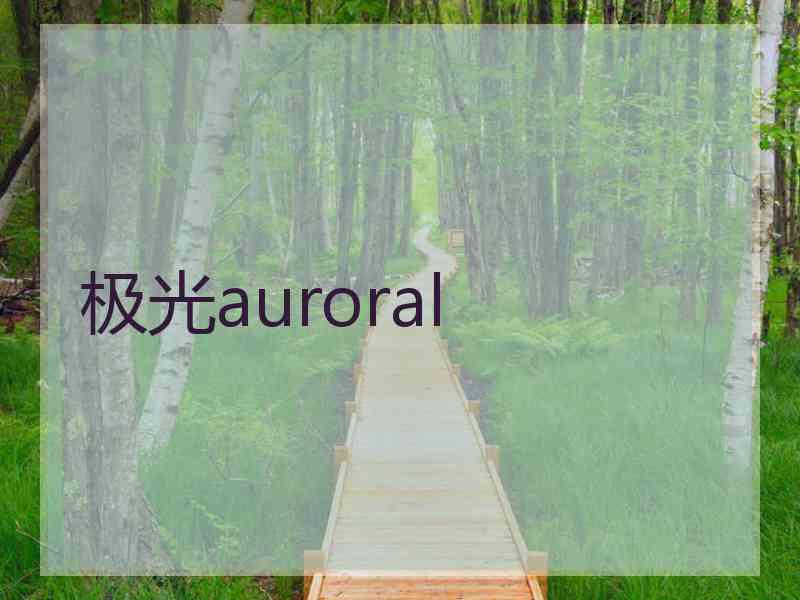 极光auroral