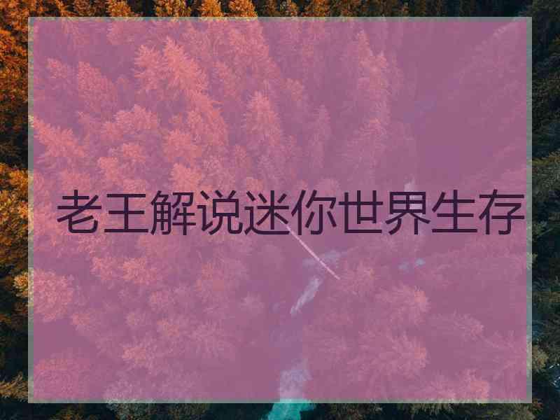 老王解说迷你世界生存