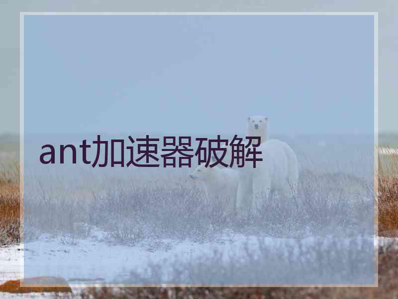 ant加速器破解