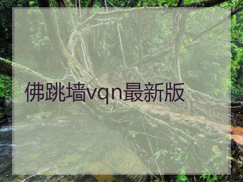 佛跳墙vqn最新版