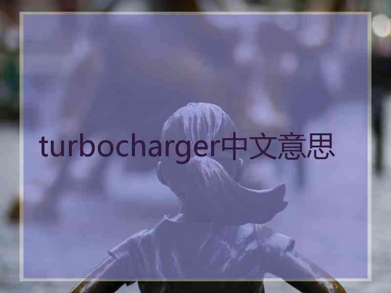 turbocharger中文意思