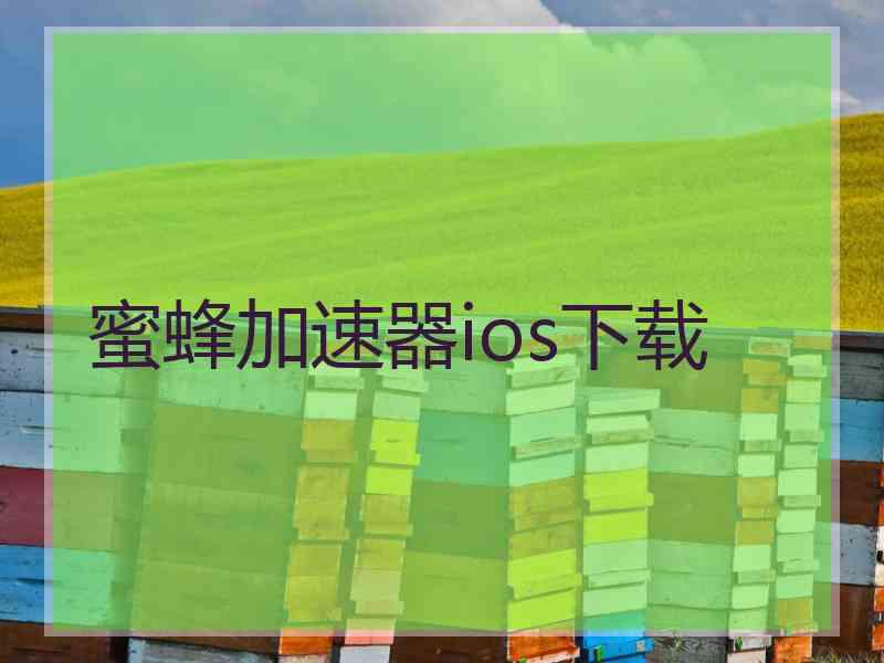 蜜蜂加速器ios下载