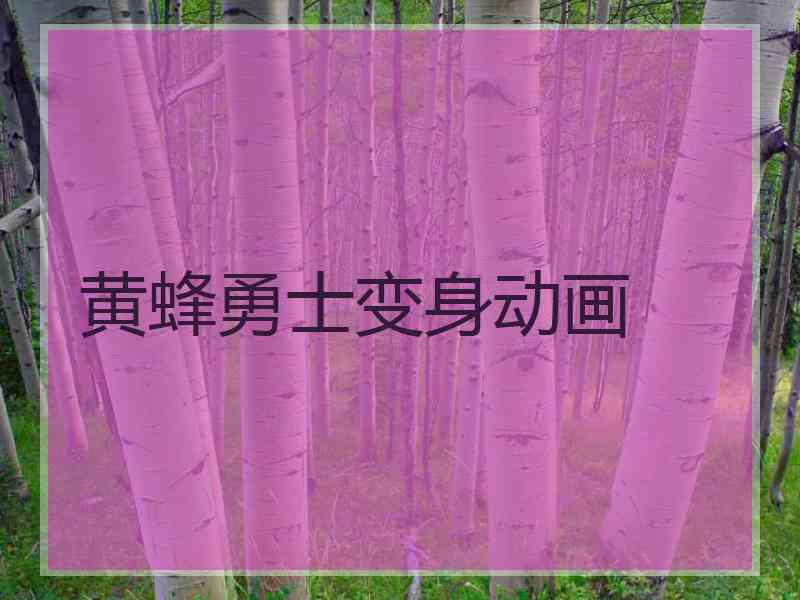 黄蜂勇士变身动画