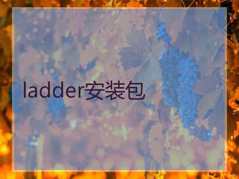 ladder安装包