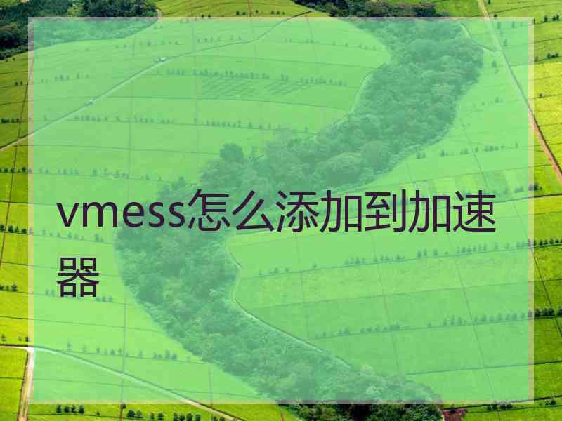 vmess怎么添加到加速器