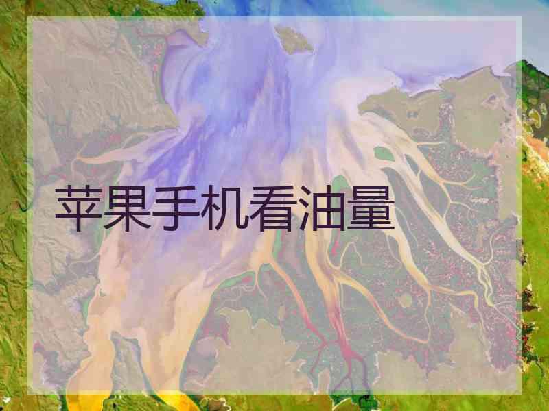 苹果手机看油量