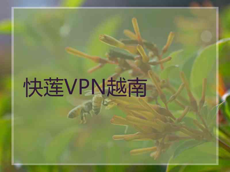 快莲VPN越南