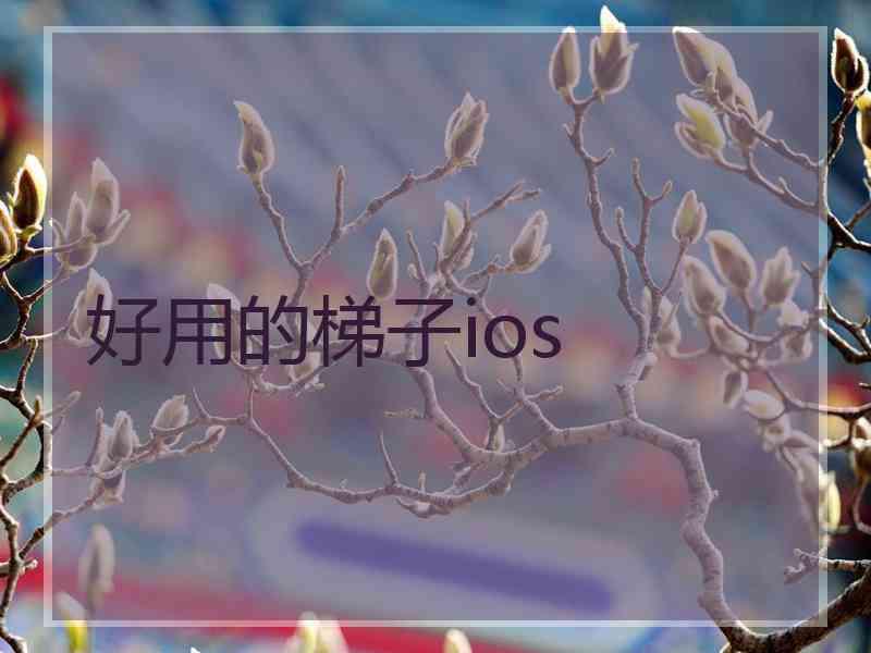 好用的梯子ios