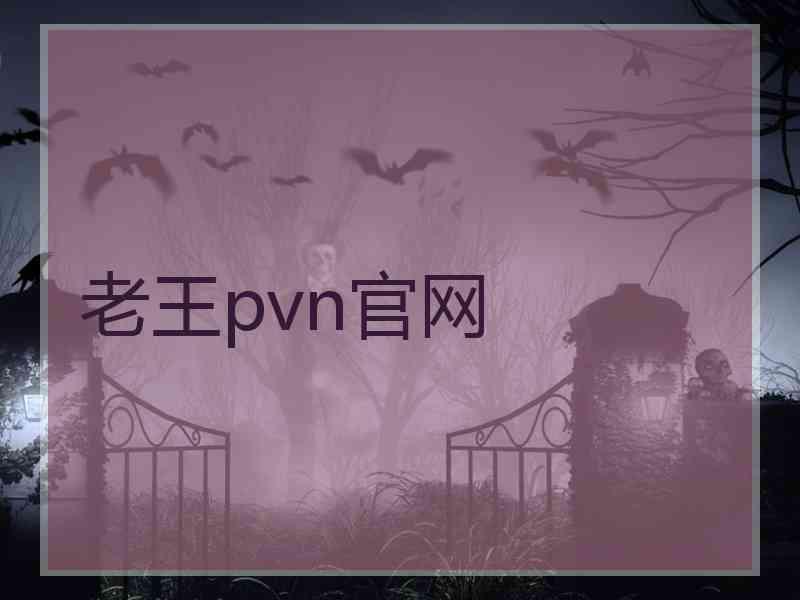 老王pvn官网