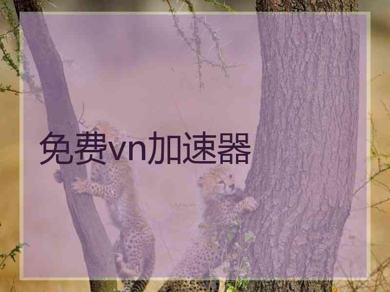 免费vn加速器