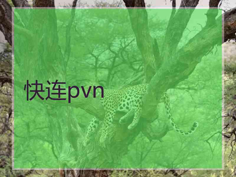 快连pvn