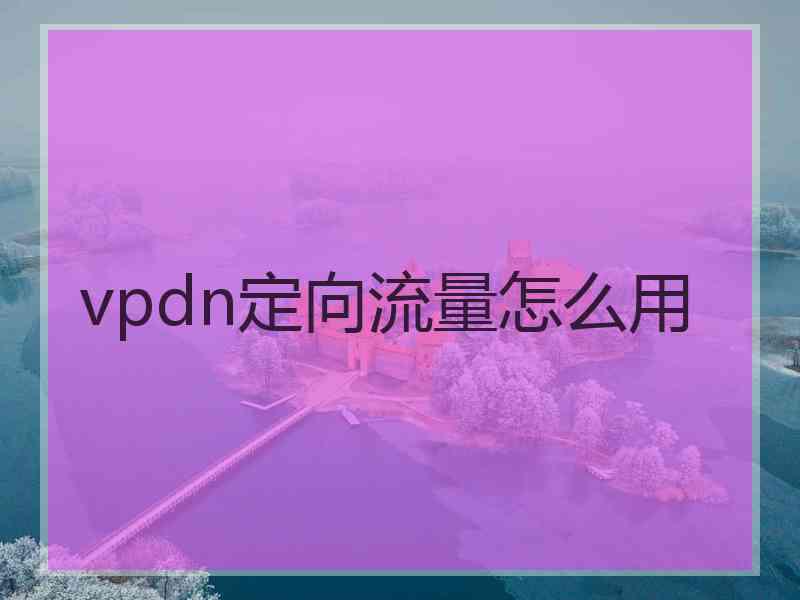 vpdn定向流量怎么用