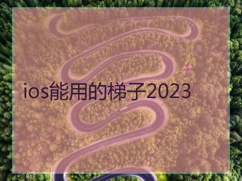 ios能用的梯子2023