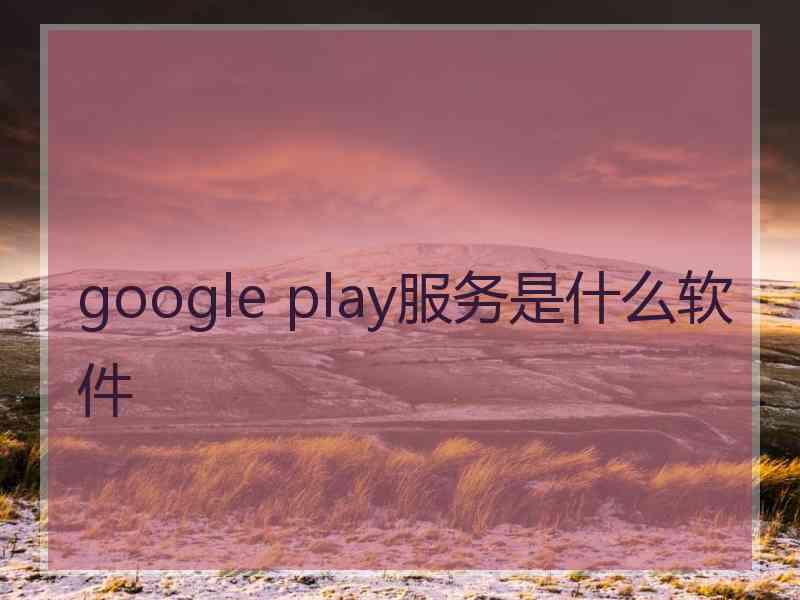 google play服务是什么软件