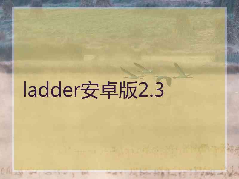 ladder安卓版2.3