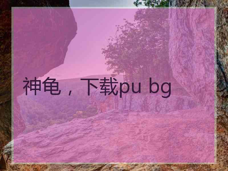 神龟，下载pu bg