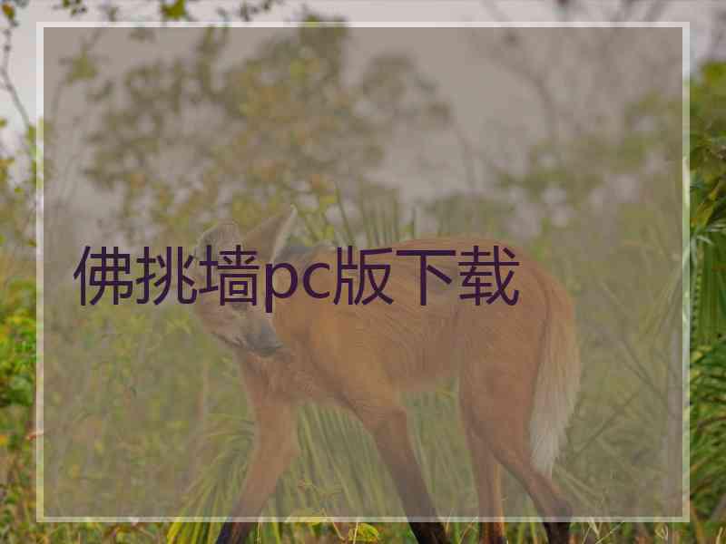 佛挑墙pc版下载