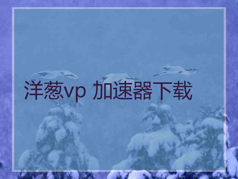 洋葱vp 加速器下载