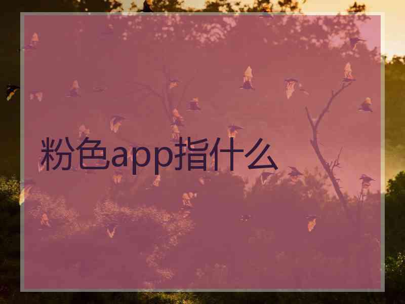 粉色app指什么