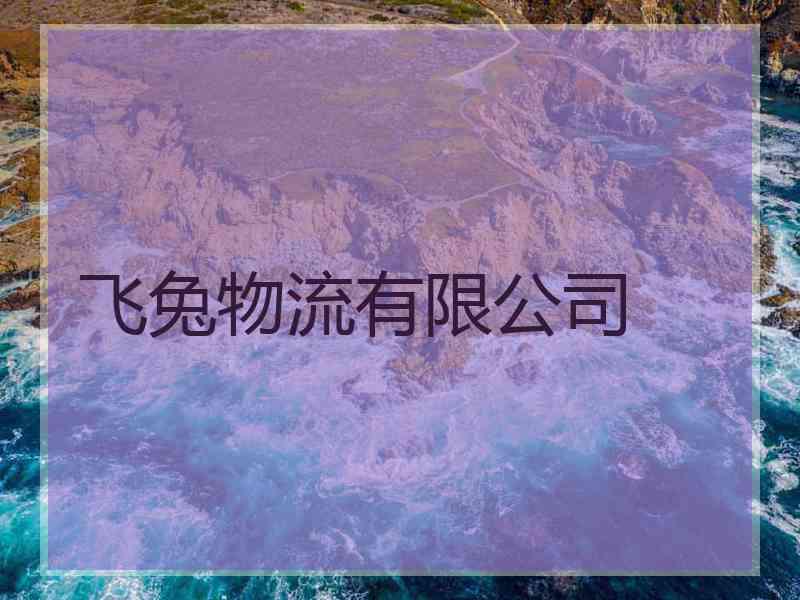 飞兔物流有限公司