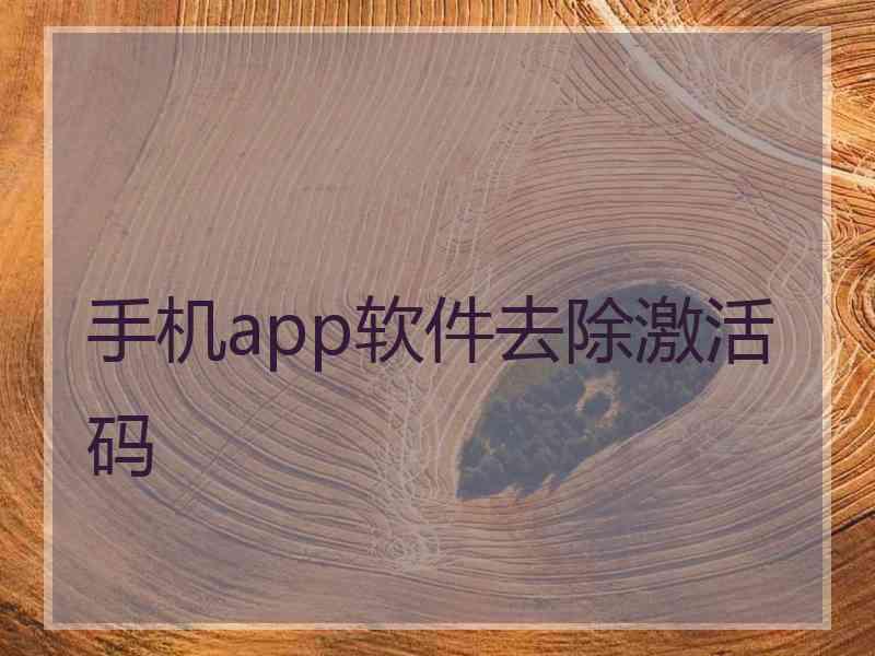 手机app软件去除激活码