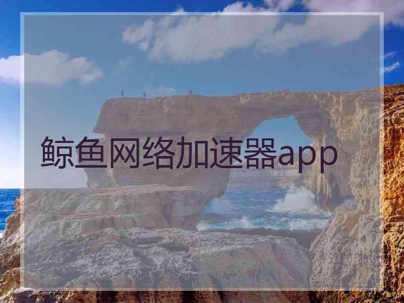 鲸鱼网络加速器app