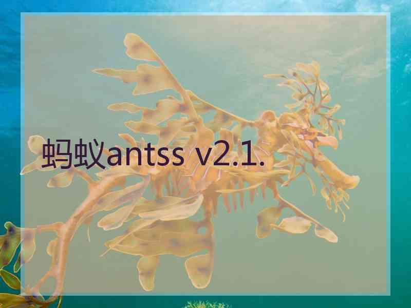 蚂蚁antss v2.1.