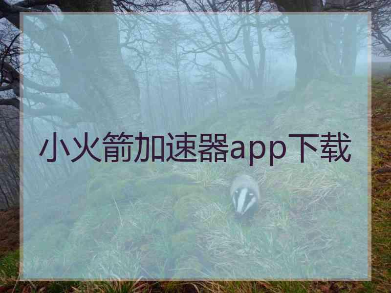 小火箭加速器app下载