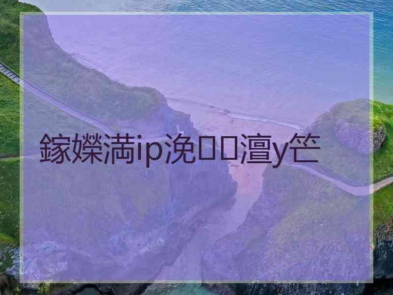 鎵嬫満ip浼澶у笀