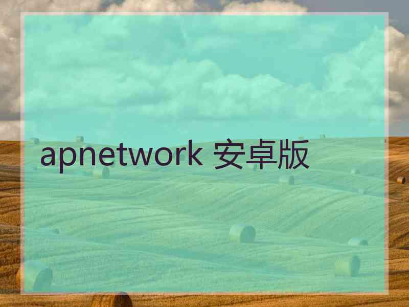 apnetwork 安卓版